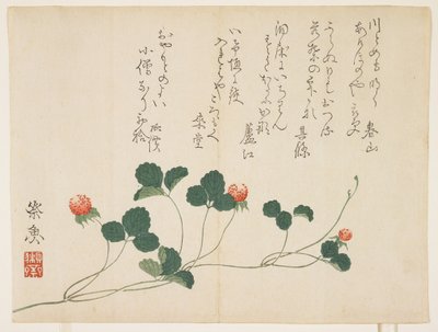 Frambuesas de Saigyo